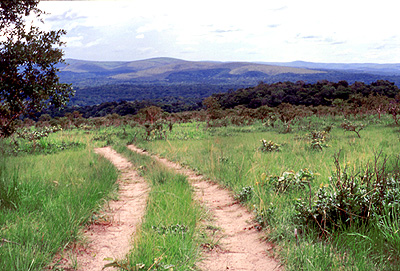 Southeastern Gabon