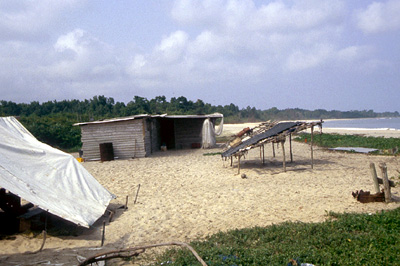 Base camp near ocean