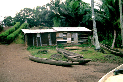 Village house