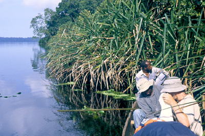 Collecting from pirogue