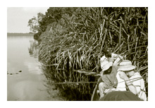 Collecting from pirogue