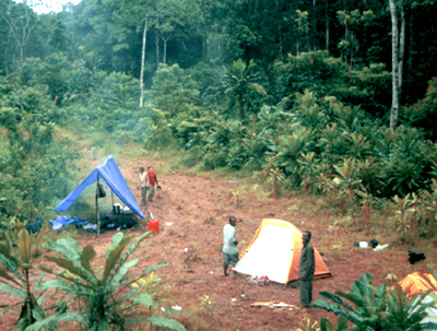 Camp at Ngouale