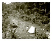 Camp at Ngouale