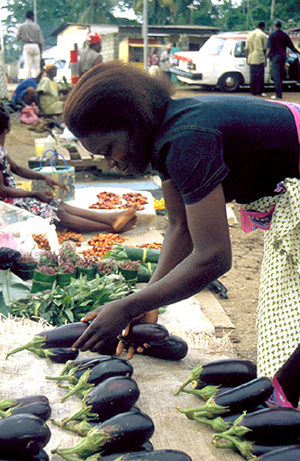 Roadside stand