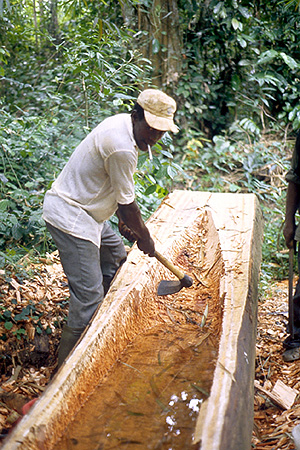 Carving a pirogue