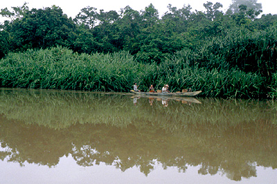 Pirogue transportation