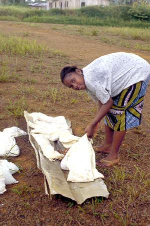 Drying sample bags