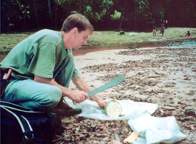 Preparing plants for drying