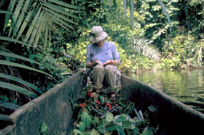 Recording plant data in the field