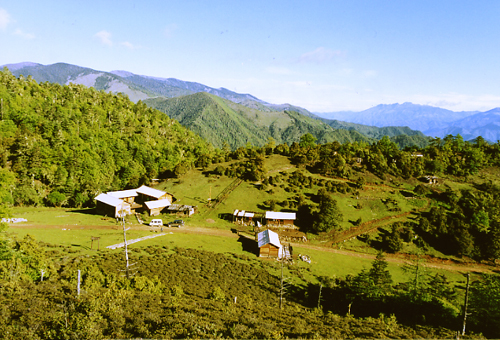 Ranger station