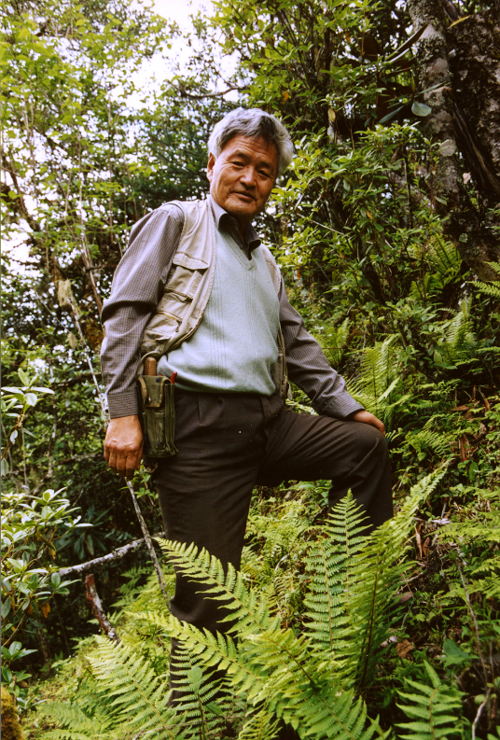 Professor Wu Sugong among Dryopteris ferns