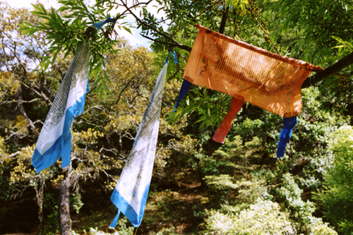 Prayer Flags at the Dongba sacred spring