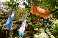 Prayer Flags at the Dongba sacred spring