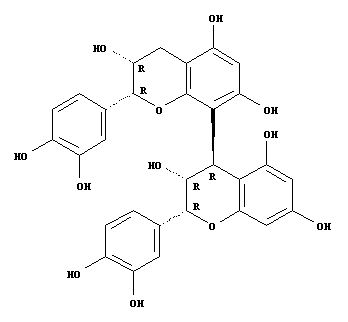 proanthocyanidin B2