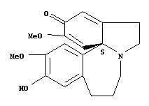 homoerythrina