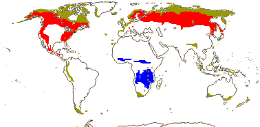 some ECM/ERM forests