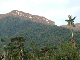 Cordillera del Cndor y formacin de Tepui, Ro Wawaime