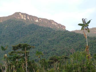 Cóndor Crest, and Tepui formation, Rio Wawaime