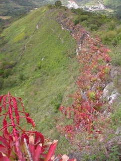 Crest with Sandstone Rock in Peru, Cajamarca, Santa Rosa