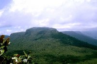 Panoramic View of Condor