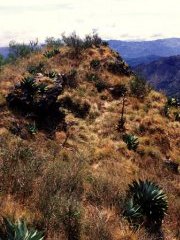 Heartbreak Ridge