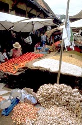 Market in Tana