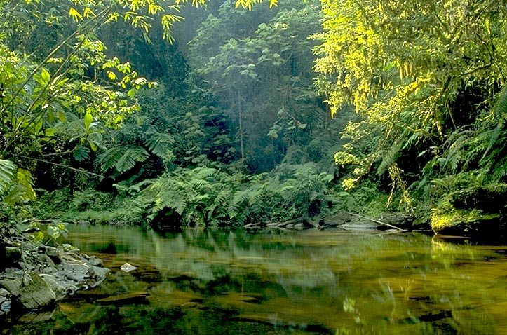 Vatoharanana River