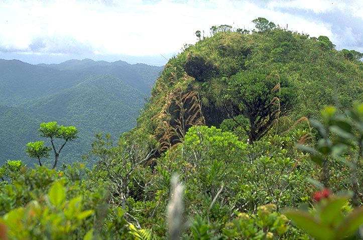 Ambohitsitondroina hilltop