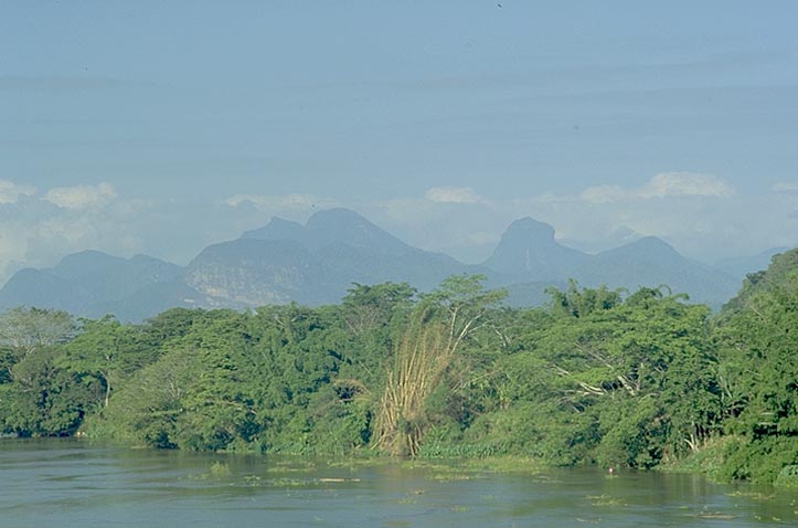 Bemarivo River
