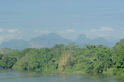 Bemarivo River
