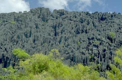 Ankarana Plateau from the savanna