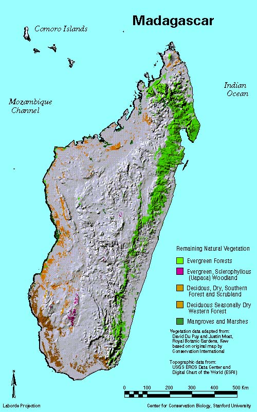 Madagascar vegetation map