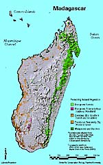 Madagascar vegetation map