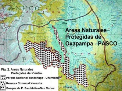 Three Reserves in Oxapampa province
