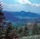 Bukovina region