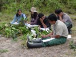 Trabajo de campo