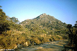av8
