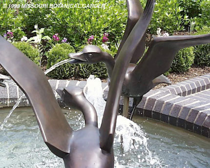 Close-up of Three Danicing Geese