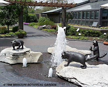 View of Three Playful Raccoons Fountain