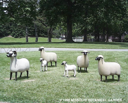 Long shot of the six sheep statues