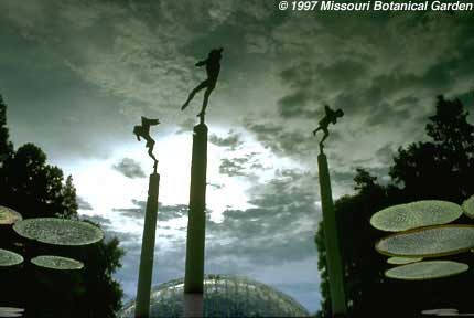 reflection of Angel Musicians