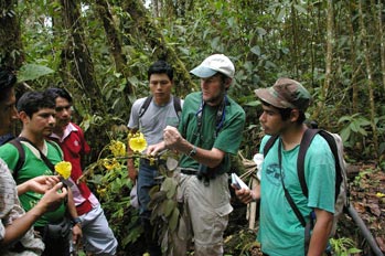 Participantes del Curso de Dendrologa aprenden Swartzia de la Familia de Plantas Fabaceae 