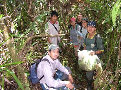 Establishment of one-hectare tree inventory plots