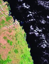 Madagascar's littoral forests