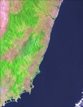 Madagascar's littoral forests