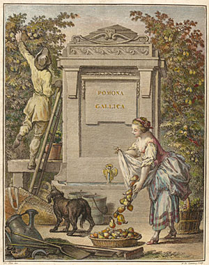 Frontispiece from Traité des arbres fruitiers by Henri-Louis Duhamel du Monceau