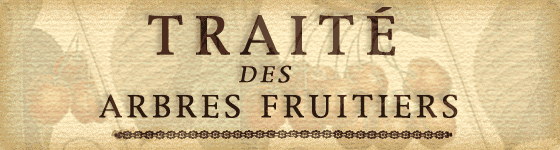 Henri-Louis Duhamel du Monceau - Trait&eacute; des Arbres Fruitiers Tome I